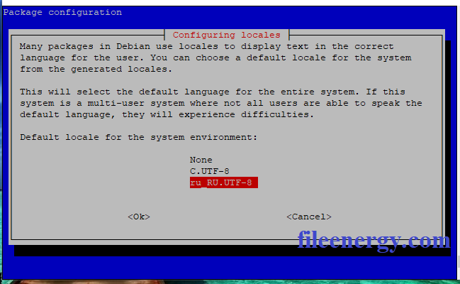 Инструкция по установке и настройке терминального сервера на базе Linux Debian 10 с графической оболочкой